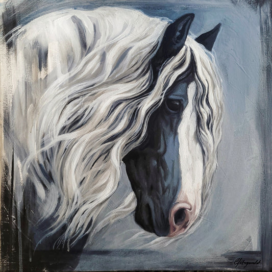 'Blue' Gypsy Cob Horse Fine Art Print