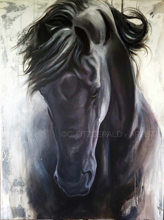 'Midnight' Friesian Horse Fine Art Print