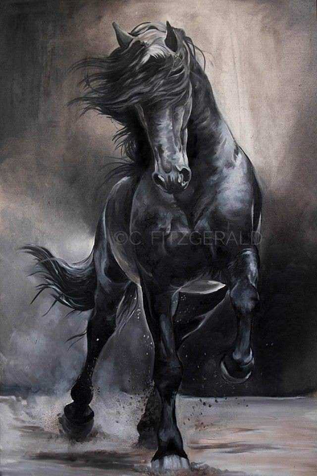 Obsidian Friesian Horse Fine Art Print