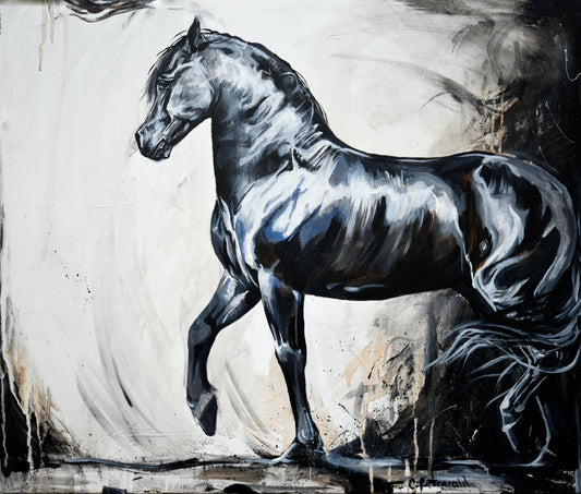 'Regardez Moi' Friesian Fine Art Print