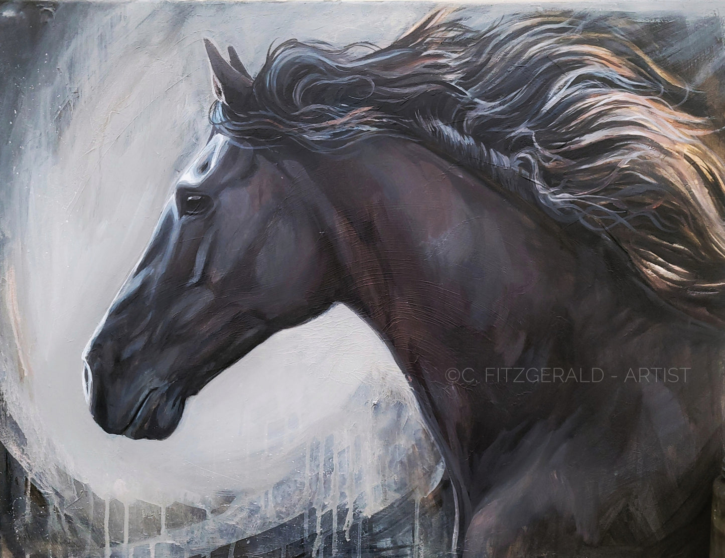 'Moonshadow' Friesian Horse Fine Art Print