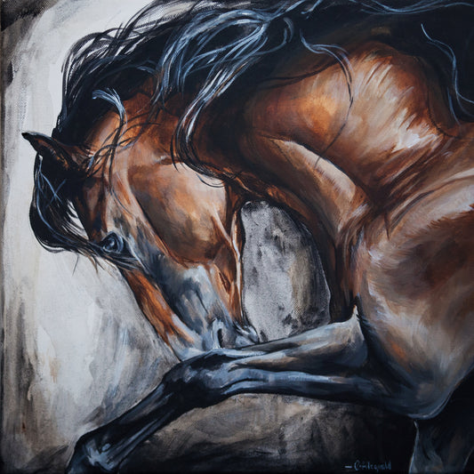 'Col Legno' Bay Spanish Horse Fine Art Print