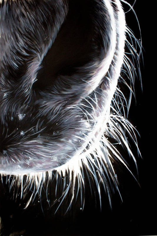 'Whispers' Horse Muzzle Fine Art Print